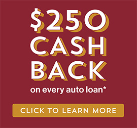 $250 cash back on every auto loan